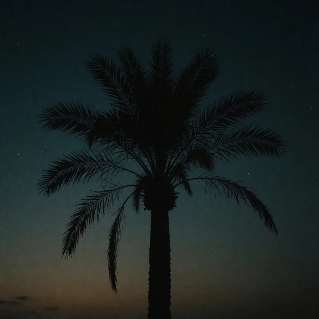 Palm tree silhouette against a deep teal night sky